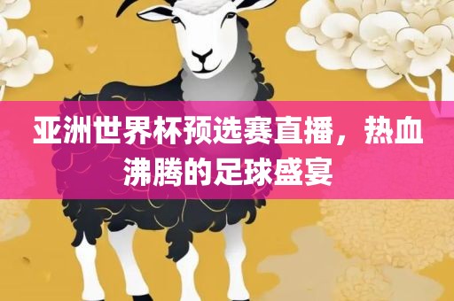 亚洲世界杯预选赛直播，热血沸腾的足球盛宴
