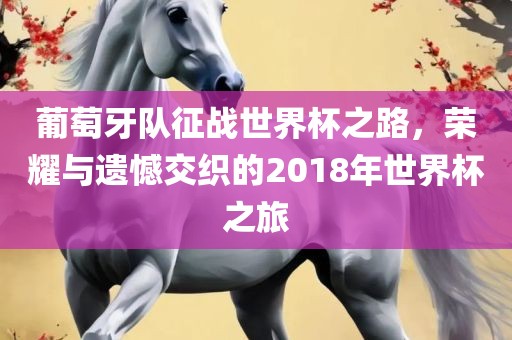 葡萄牙队征战世界杯之路，荣耀与遗憾交织的2018年世界杯之旅