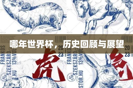 哪年世界杯，历史回顾与展望