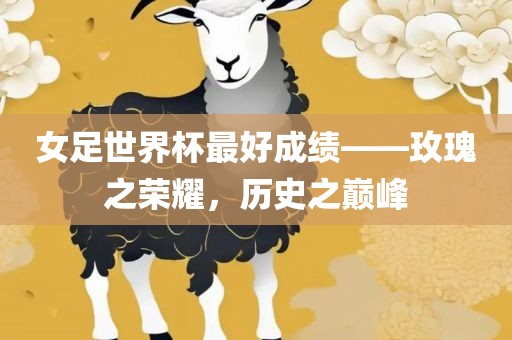 女足世界杯 第2页