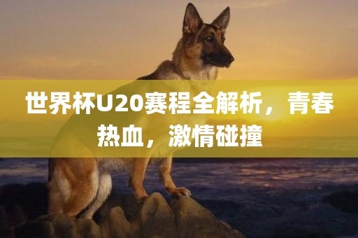 世界杯U20赛程全解析，青春热血，常熟市高丰毛纺织品有限公司激情碰撞