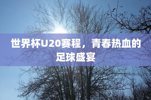 世界杯U20赛程，青春热血的足球盛宴