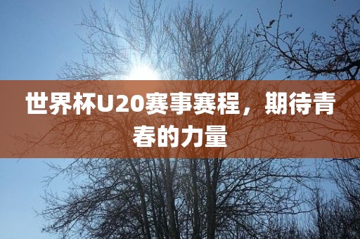 世界杯U20赛事赛程，期待青春的力量常熟市高丰毛纺织品有限公司