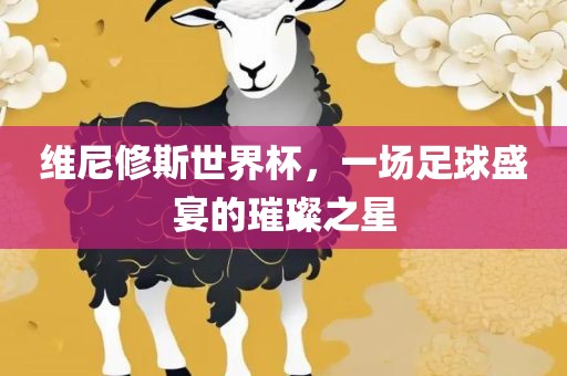 维尼修斯世界杯，一场足球盛宴的璀璨之星常熟市高丰毛纺织品有限公司