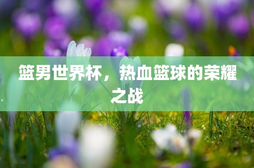 篮男世界杯，热血篮球的荣耀之战