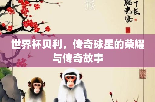 世界杯贝利，传奇球星的荣耀与传奇故事常熟市高丰毛纺织品有限公司