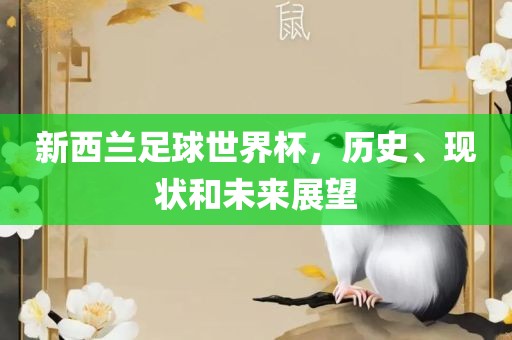 新西兰足球世界杯，历史、现状和未来展望