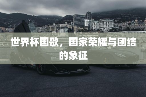世界杯国歌，国家荣耀与团结的象征常熟市高丰毛纺织品有限公司