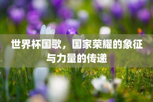 世界杯国歌，国家荣耀的象征与力量的传递常熟市高丰毛纺织品有限公司