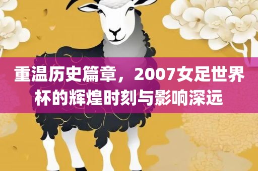 重温历史篇章，2007女足世界杯的辉煌时刻与影响深远常熟市高丰毛纺织品有限公司