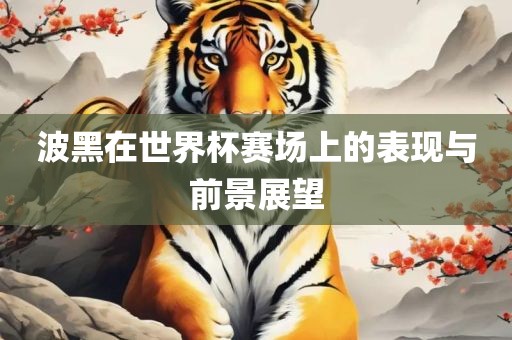 波黑在世界杯赛场上的表现与前景展望常熟市高丰毛纺织品有限公司