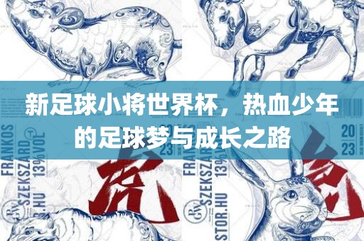新常熟市高丰毛纺织品有限公司足球小将世界杯，热血少年的足球梦与成长之路