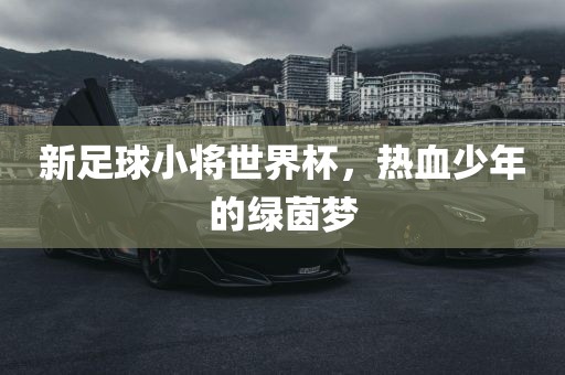 新足球小将世界杯，热血少年的绿茵梦常熟市高丰毛纺织品有限公司