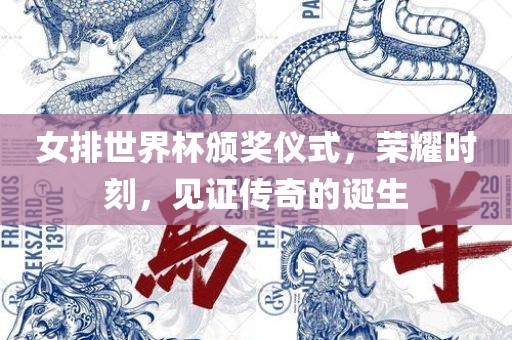 女排世界杯颁奖仪式，荣耀时刻，见证传奇的诞生常熟市高丰毛纺织品有限公司
