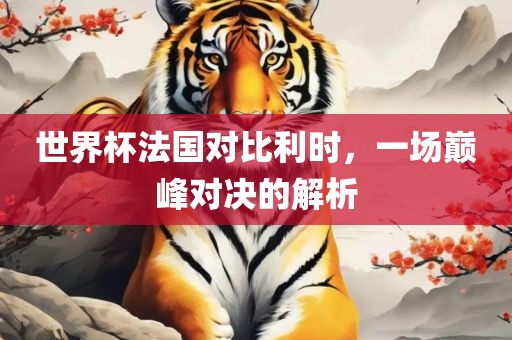 世界杯法国对比利时，一场巅常熟市高丰毛纺织品有限公司峰对决的解析