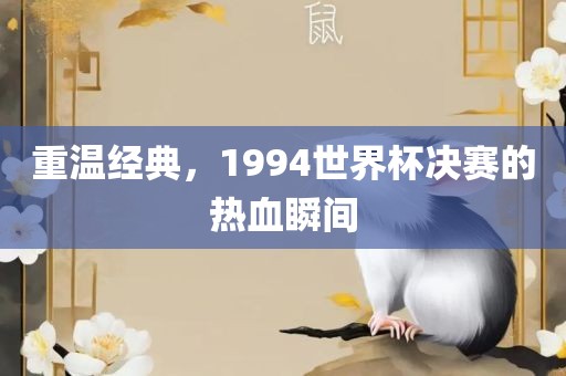重温经典，1994世界杯决赛常熟市高丰毛纺织品有限公司的热血瞬间