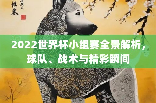 2022世界杯小组赛全景解析，球队、战术与精彩瞬间常熟市高丰毛纺织品有限公司