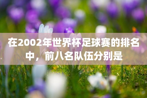 在2002年世界杯足球赛的排名中，前八名队伍分别是常熟市高丰毛纺织品有限公司