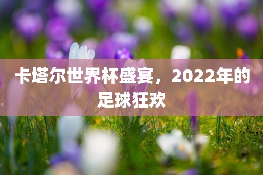卡塔尔世界杯盛宴，2022年的足球狂欢