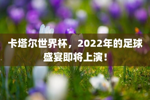 卡塔尔世界杯，2022年的足球盛宴即将上演！
