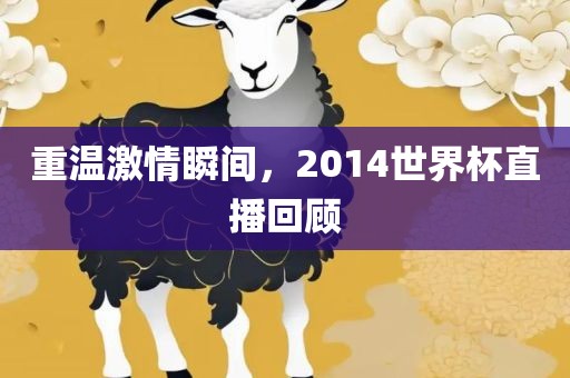 重温激情瞬间，2014世界杯直播回顾