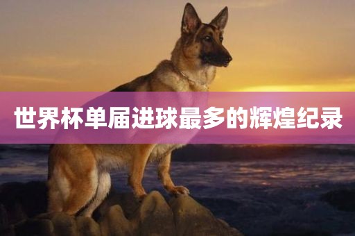 zhangyatai 第4页