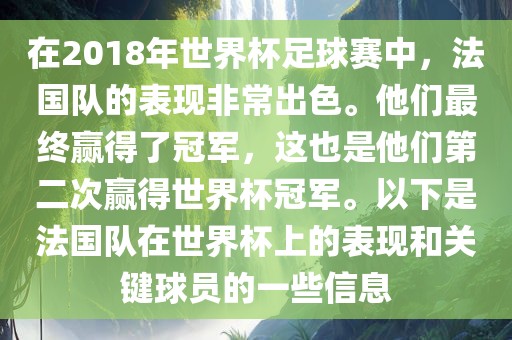 在2018年世界杯足球赛中，法国队的表现非常出色。他们最终赢得了冠军，这也是他们第二次赢得世界杯冠军。以下是法国队在世界杯上的表现和关键球员的一些信息