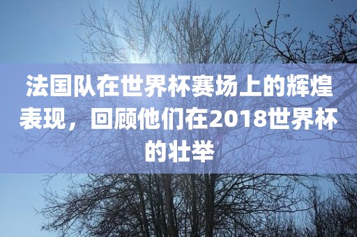 法国队在世界杯赛场上的辉煌表现，回顾他们在2018世界杯的壮举