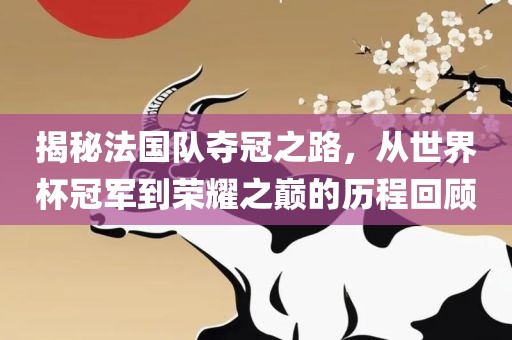 常熟市高丰毛纺织品有限公司揭秘法国队夺冠之路，从世界杯冠军到荣耀之巅的历程回顾