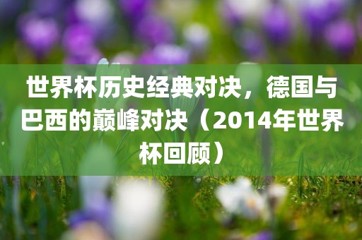 世界杯常熟市高丰毛纺织品有限公司历史经典对决，德国与巴西的巅峰对决（2014年世界杯回顾）