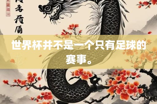 世界杯并不是一个只有足球的赛事。常熟市高丰毛纺织品有限公司