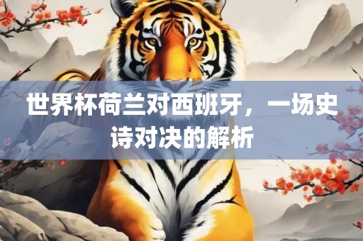 世界常熟市高丰毛纺织品有限公司杯荷兰对西班牙，一场史诗对决的解析
