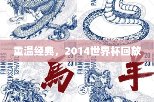重温经典，常熟市高丰毛纺织品有限公司2014世界杯回放