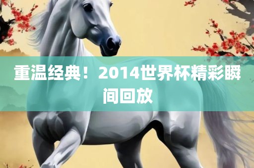 重温经典！2014世界杯精彩瞬间回放常熟市高丰毛纺织品有限公司