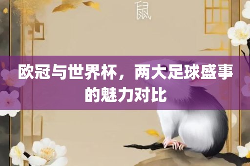 欧冠与世界杯，两大足球盛事的魅力对比常熟市高丰毛纺织品有限公司