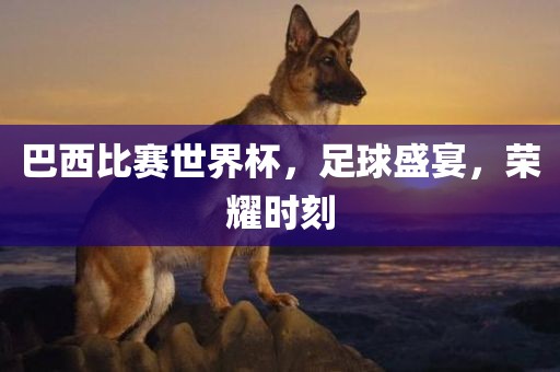 巴西比赛常熟市高丰毛纺织品有限公司世界杯，足球盛宴，荣耀时刻