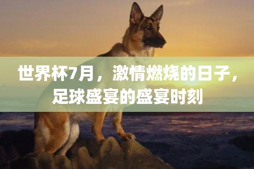 世界杯7月，激情燃烧的日子，足球盛宴的盛宴时刻常熟市高丰毛纺织品有限公司