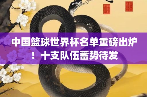 中国篮球世界杯名单重磅出炉！十支队伍蓄势待发常熟市高丰毛纺织品有限公司
