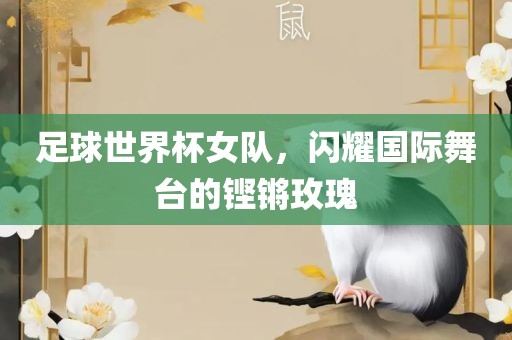 huamei 第3页