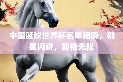 中国篮球世界杯名单揭晓，群星闪耀，期待无限