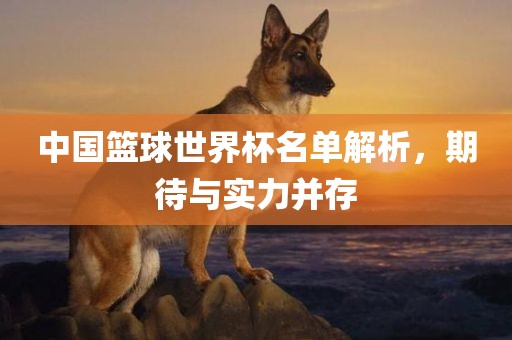 中国篮球世界杯名单解析，期待与实力并存