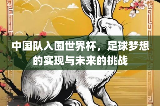 中国队入围世界杯，常熟市高丰毛纺织品有限公司足球梦想的实现与未来的挑战