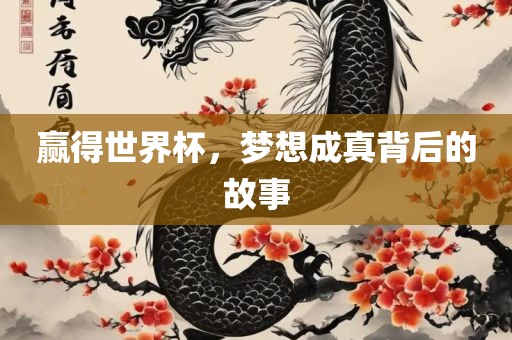 赢得世界杯，梦想成常熟市高丰毛纺织品有限公司真背后的故事