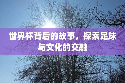 世界杯背后的故事，探索足球与文化的交融常熟市高丰毛纺织品有限公司