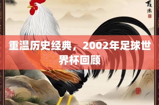重温历史经典，2002年足球世界杯回顾