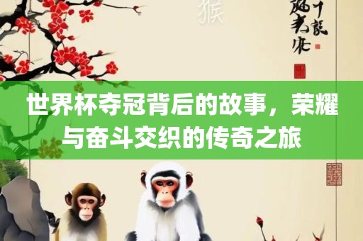 世界杯夺冠背后的故事，荣耀与奋斗交织的传奇之旅