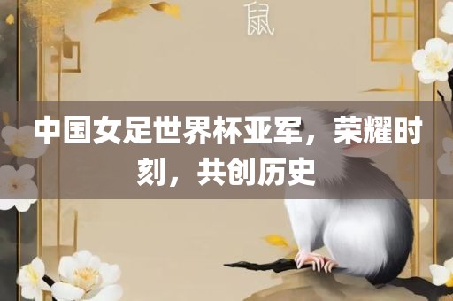 中国女足世界杯亚军，荣耀时刻，共创历史