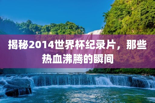 揭秘2014世界杯纪录片，那些热血沸腾的瞬间