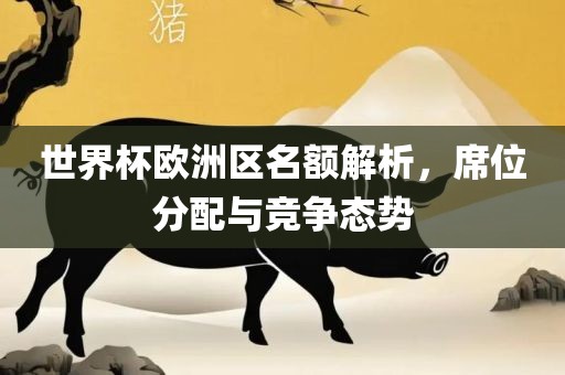 世界杯欧洲区名额解析，席位分配与竞争态势常熟市高丰毛纺织品有限公司