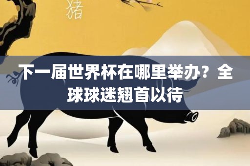 下一届世界杯在哪里举办？全球球迷翘首以待